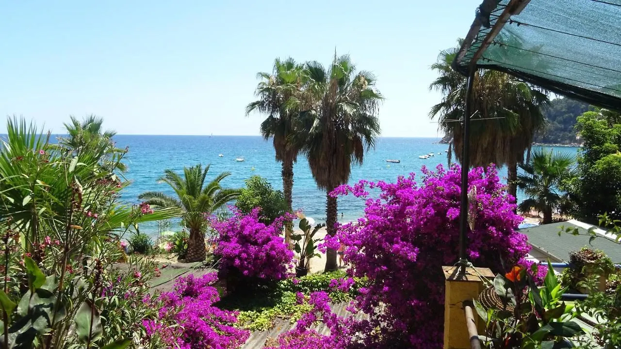 Apartment Apartament La Vista Bonica Blanes